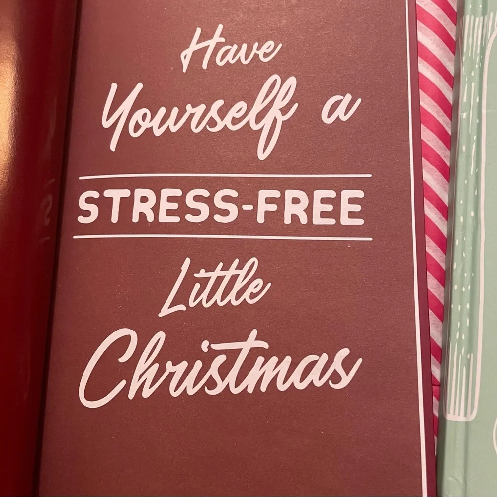 🆕 holiday budget planner